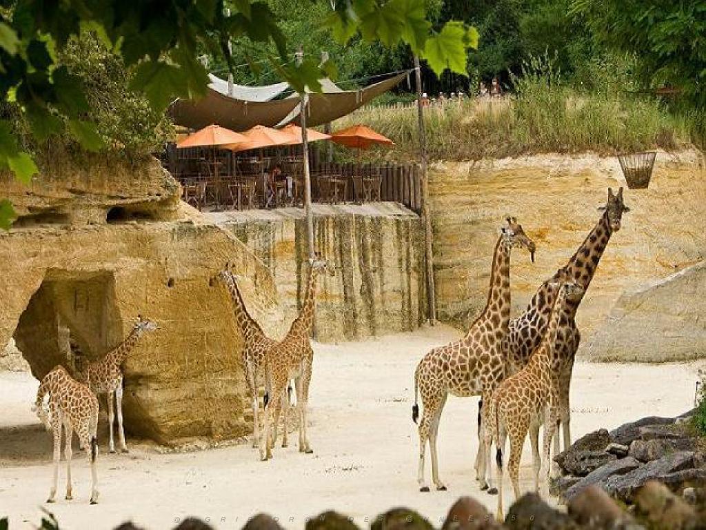 149 BIO PARC DE DOUE LA FONTAINE 2- 2016_000014.jpg